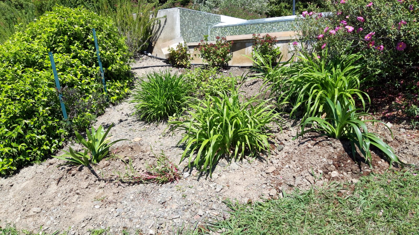 Cr�ation de jardin Roquebrun