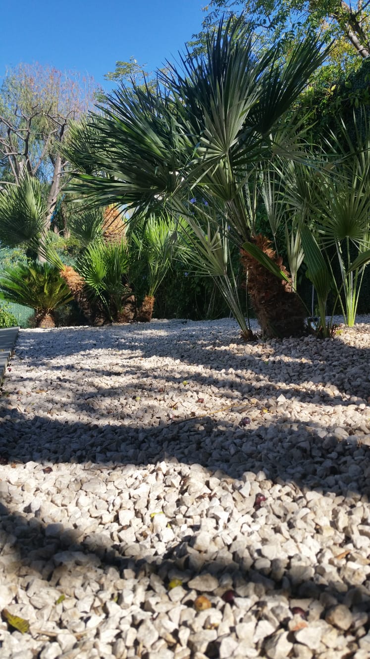 Cr�ation de jardin S�te